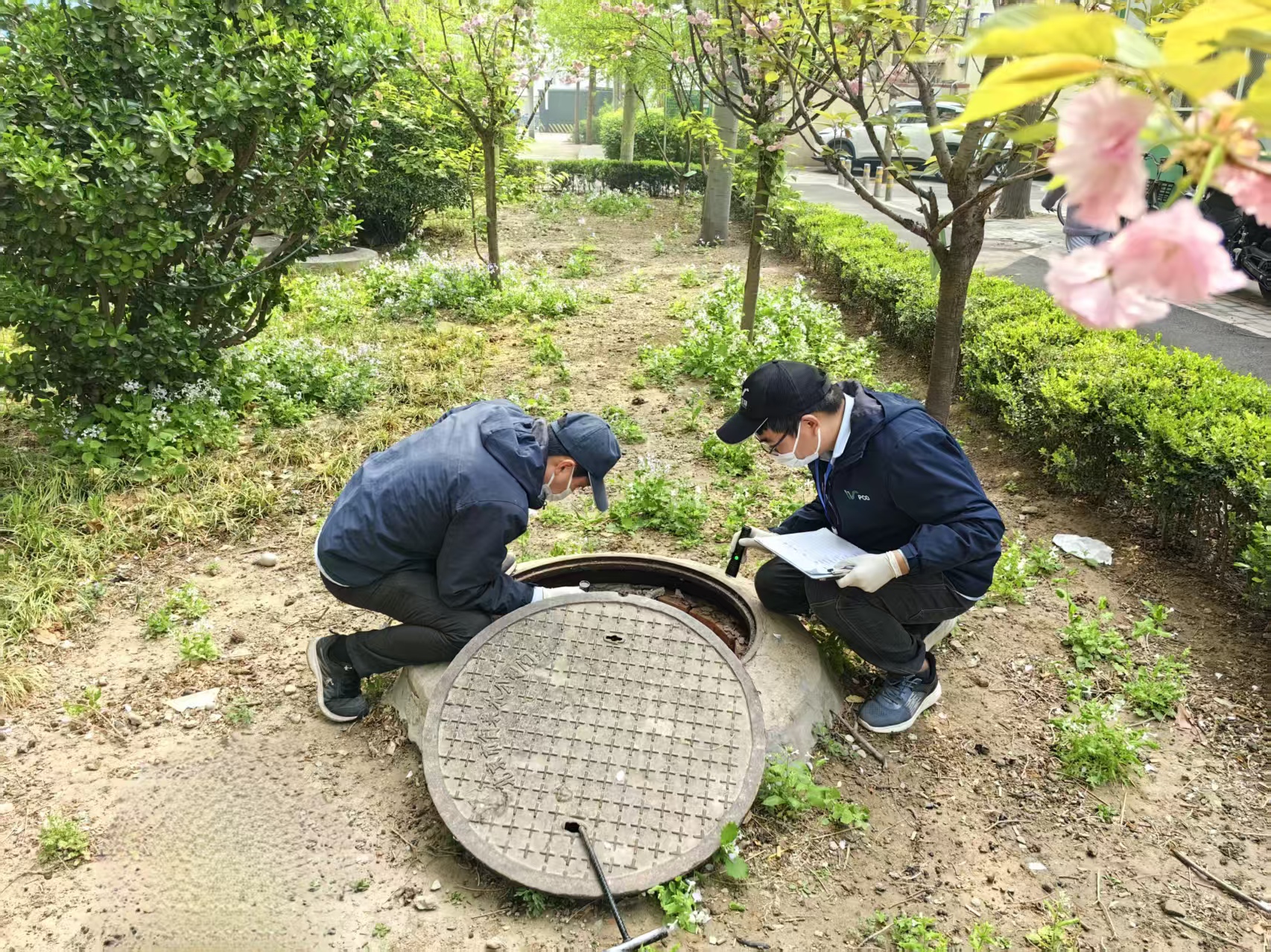 卫康在街乡创卫开展病媒生物防治服务